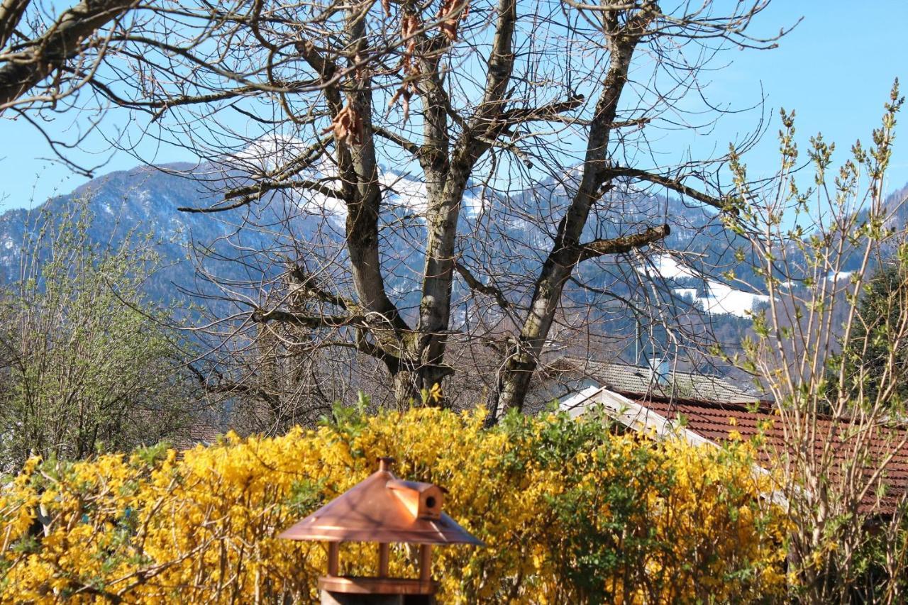 Fetznhof-Zuhaus Villa Grassau Kültér fotó